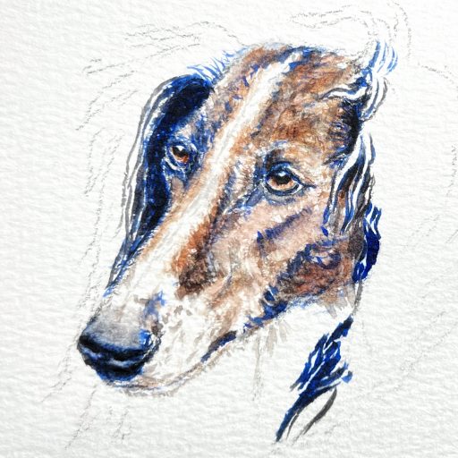 The Salukis at Ash-Shi'ra