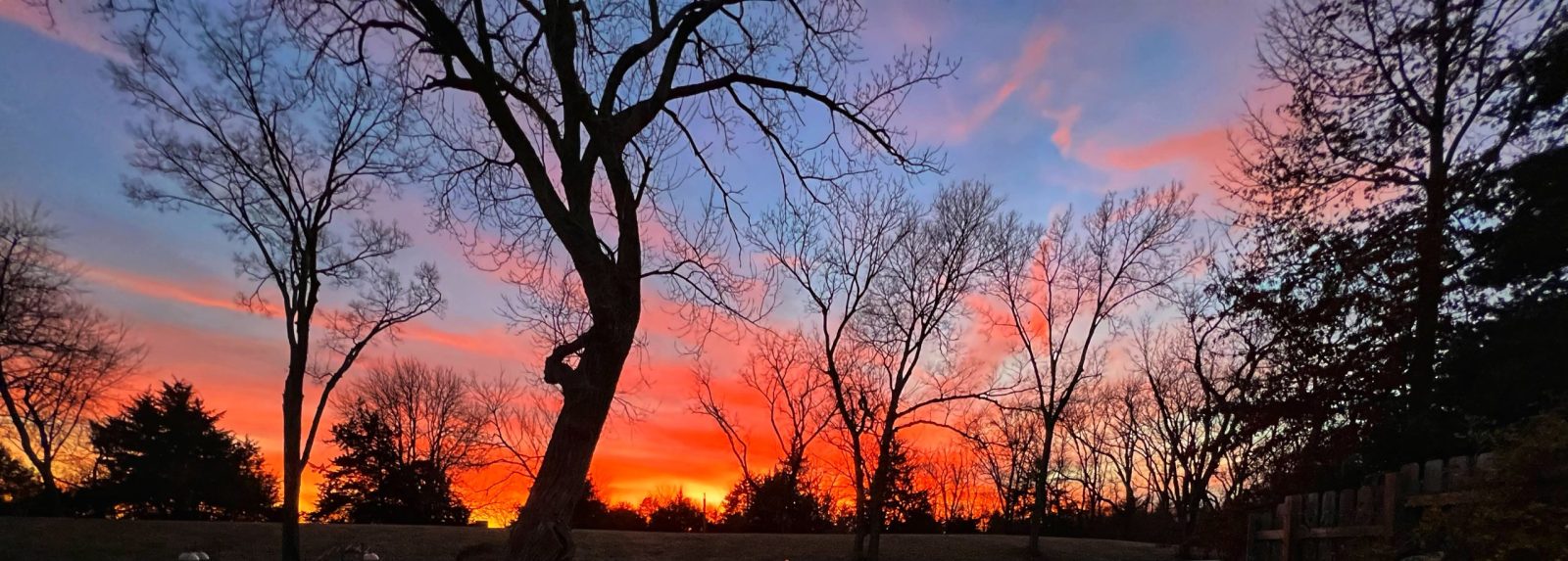 Well, that’s been a while.