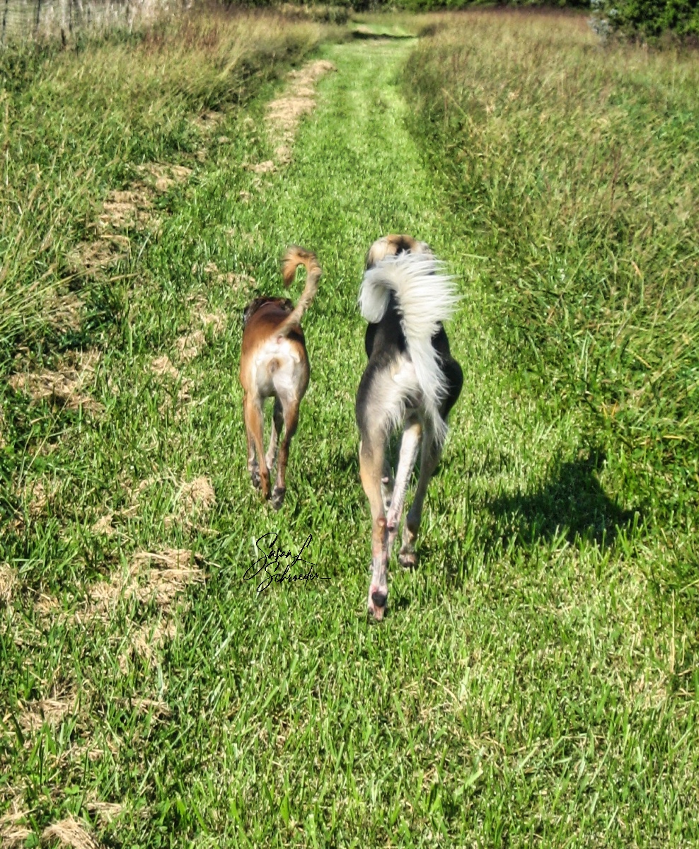 Leaving the Past Behind?